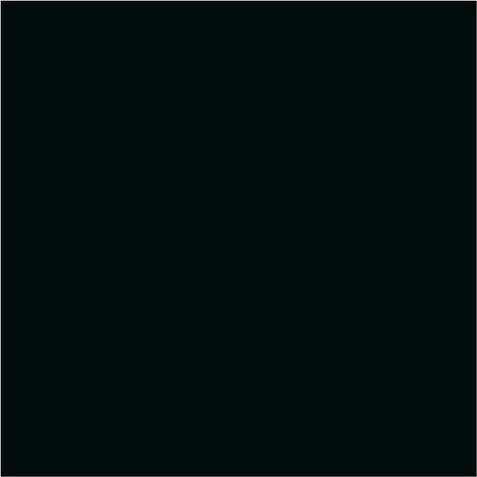 301 Schwarz