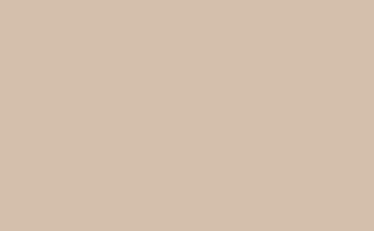 AP 835 Kaschmir </br> | 40 |
