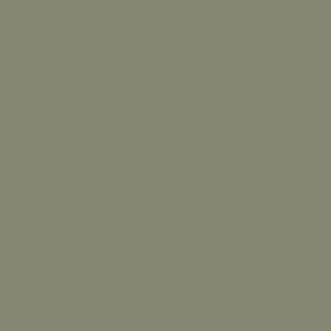 247 Olive